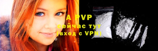 ГАЛЛЮЦИНОГЕННЫЕ ГРИБЫ Вязьма