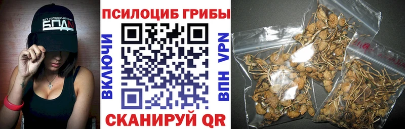 Купить  Руза  Галлюциногенные грибы Cubensis 